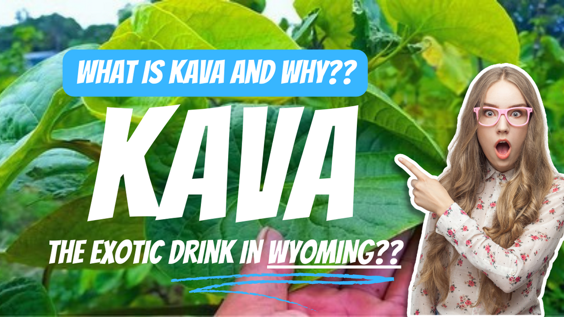 Explore Kava: The Exotic Drink at Local Nakamal, Wyoming's First Kava Bar