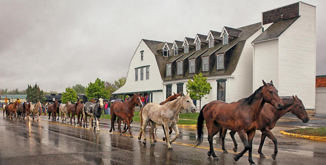 Comprehensive Guide to Managing Vacation Rentals in Wyoming & How does this relate to Kava?